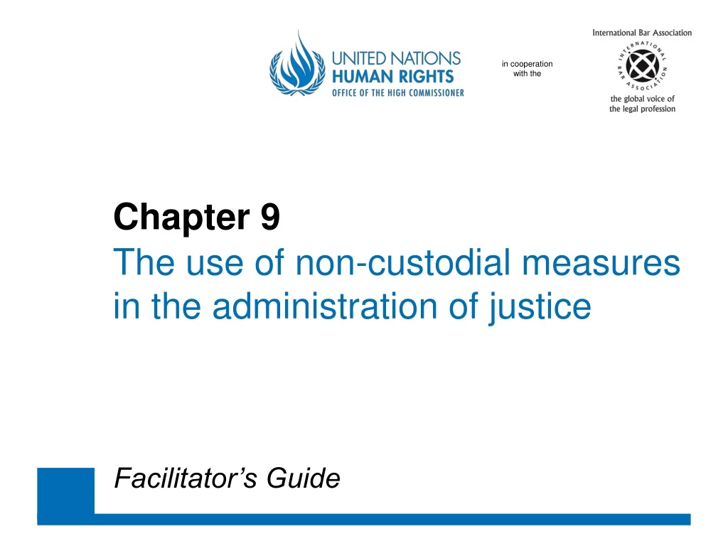 chapter 9 the use of non custodial measures in the administration of justice