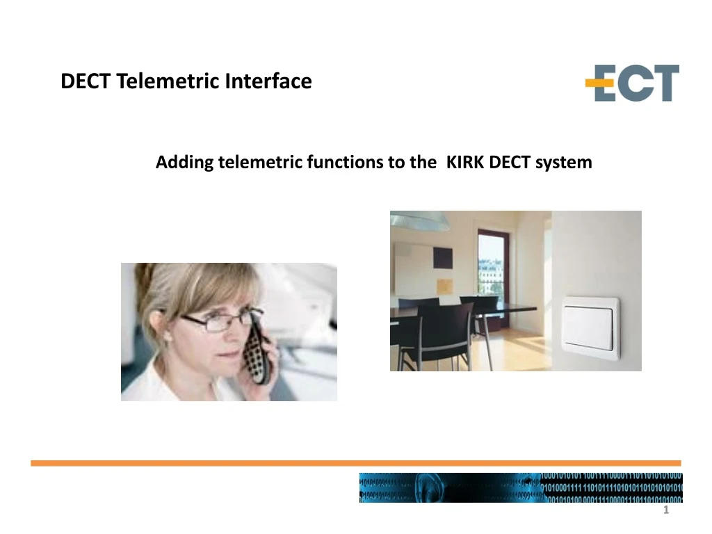 dect telemetric interface