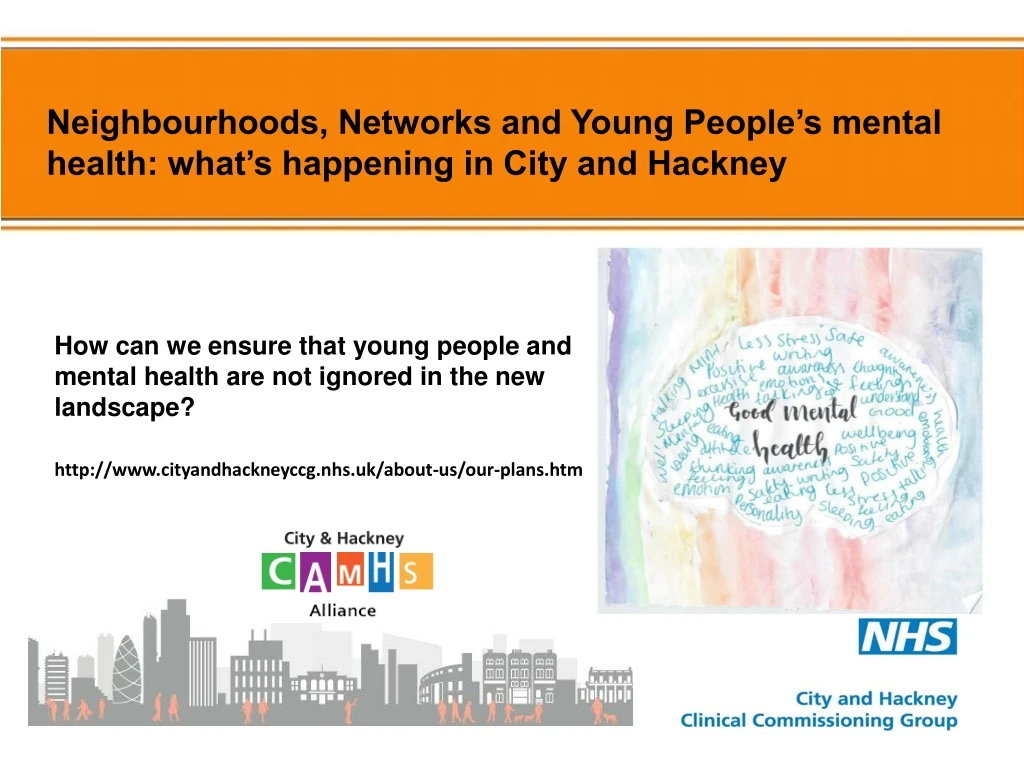 neighbourhoods networks and young people s mental