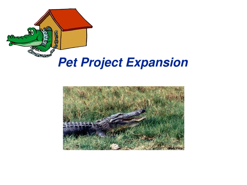 pet project expansion