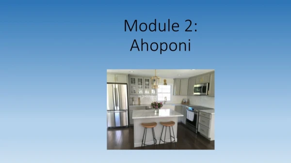 Module 2: Ahoponi