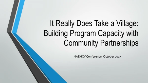 It Really Does Take a Village: Building Program Capacity with Community Partnerships