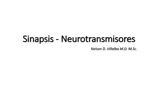 Sinapsis - Neurotransmisores