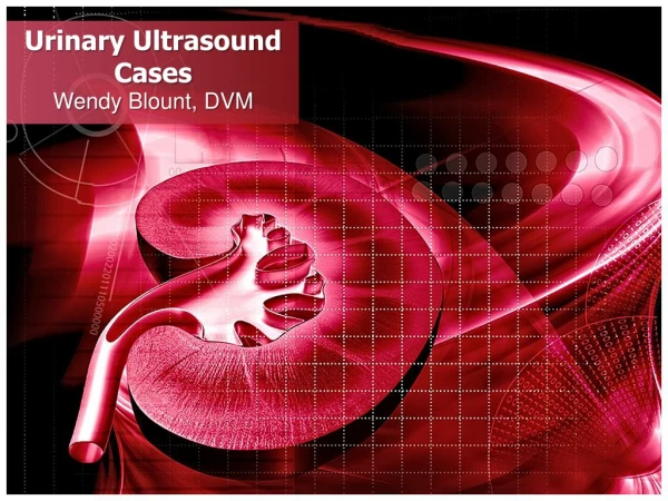 Urinary Ultrasound Cases