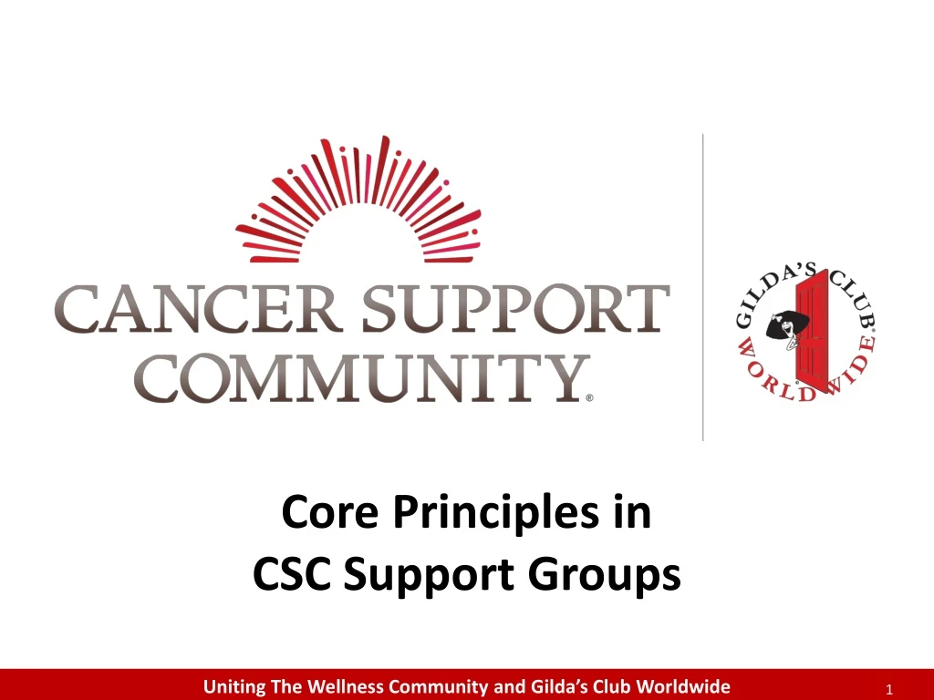 core principles in csc support groups