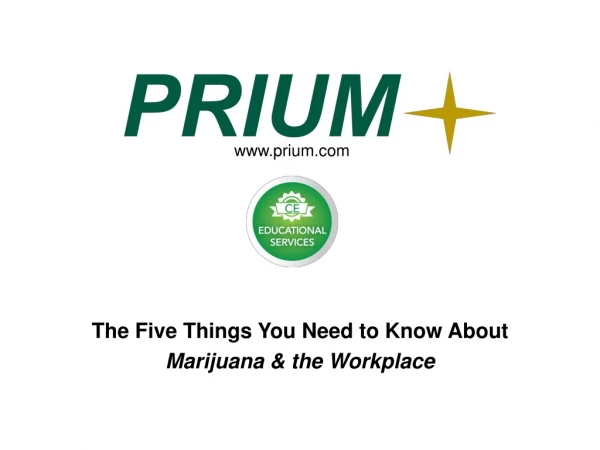 The Five Things You Need to Know About Marijuana &amp; the Workplace