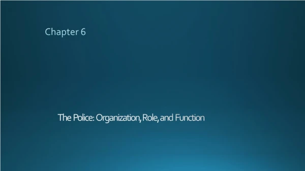 The Police: Organization, Role, and Function