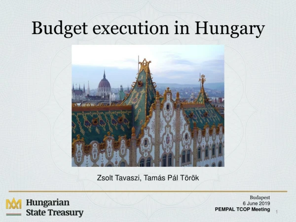 Budget execution in Hungary