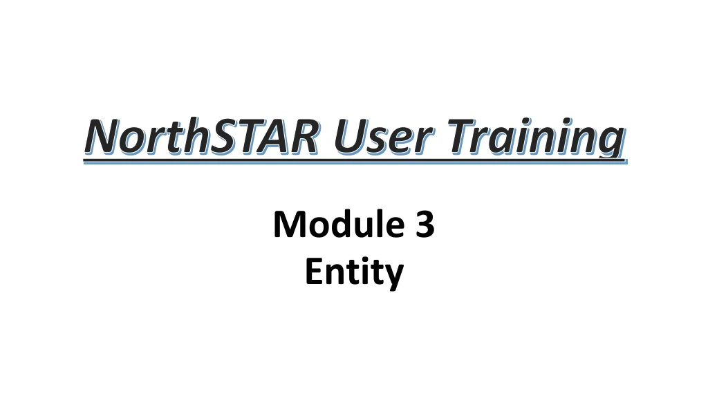 module 3 entity