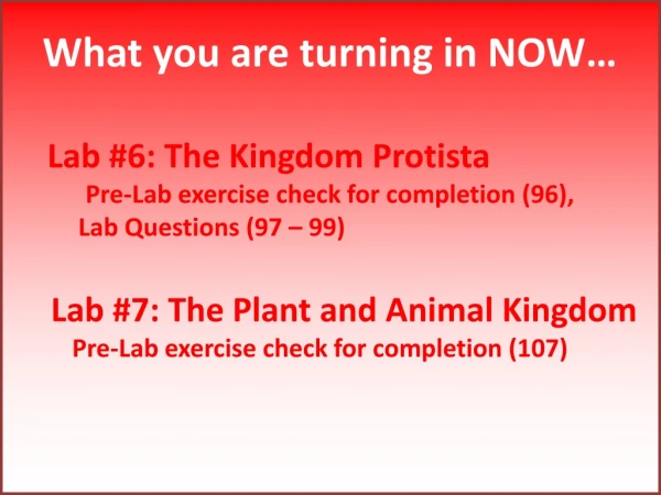 What you are turning in NOW… Lab #6: The Kingdom Protista