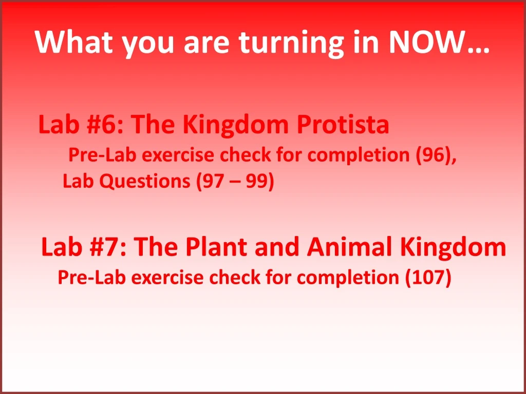 what you are turning in now lab 6 the kingdom