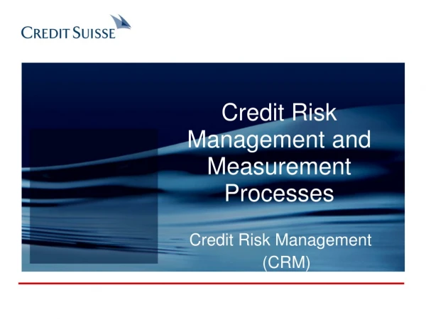 Credit Risk Management and Measurement Processes