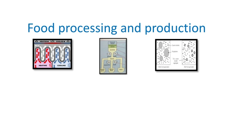 food processing and production