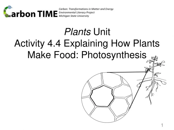 Plants Unit Activity 4.4 Explaining How Plants Make Food: Photosynthesis
