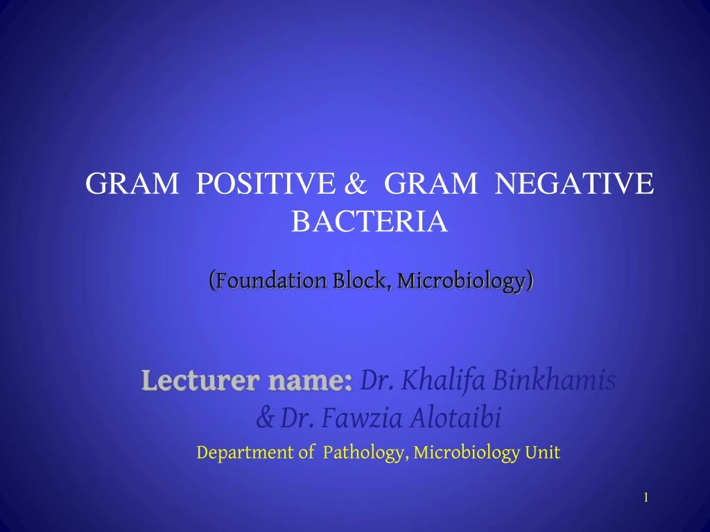 gram positive gram negative bacteria