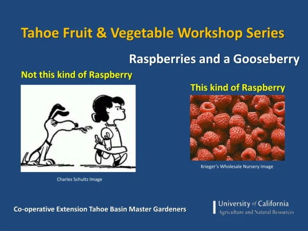 Tahoe Fruit &amp; Vegetable Workshop Series