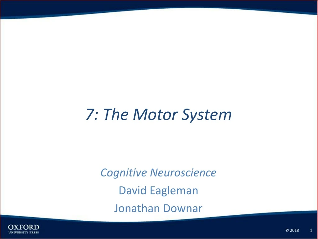 7 the motor system