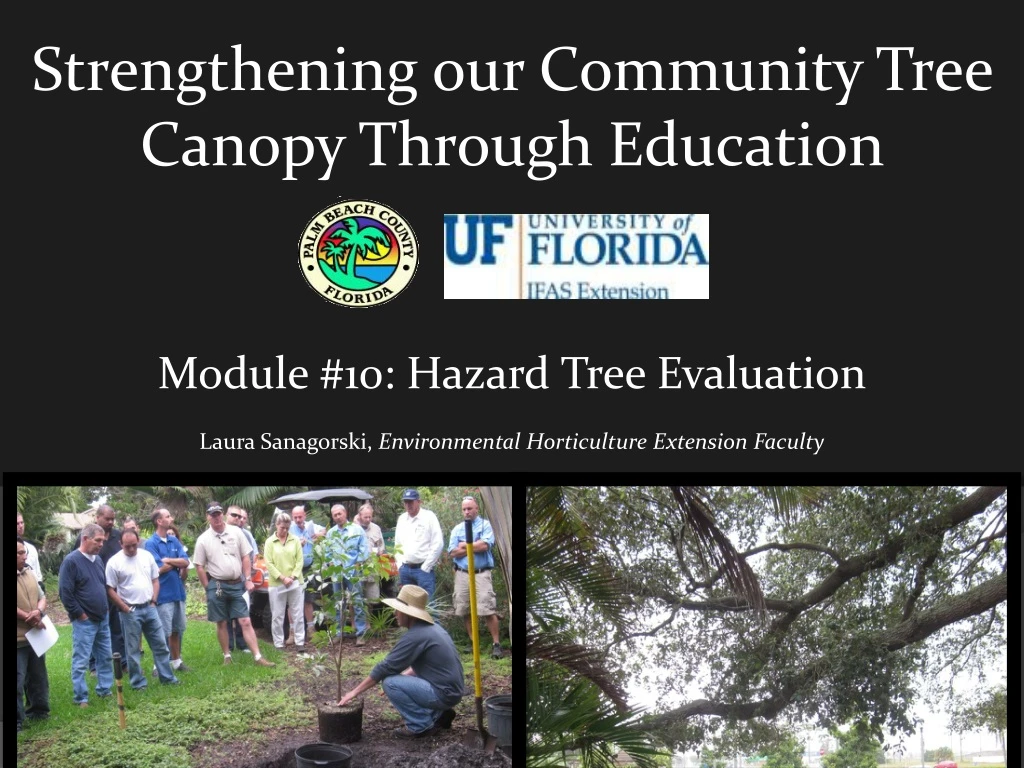 strengthening our community tree canopy through