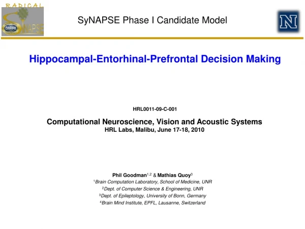 SyNAPSE Phase I Candidate Model