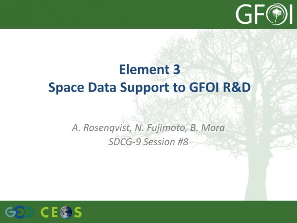 Element 3 Space Data Support to GFOI R &amp; D