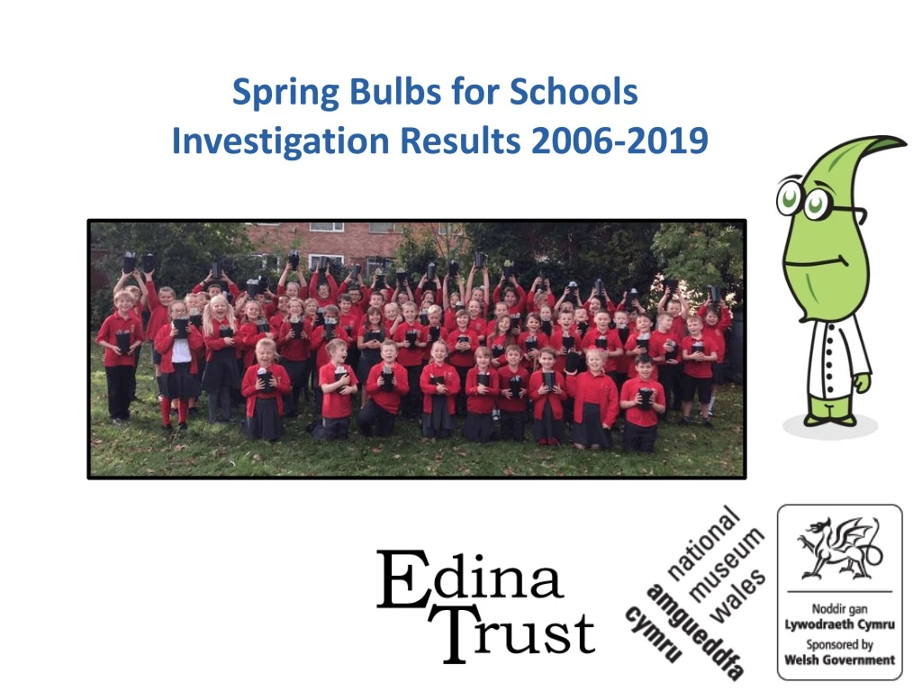 spring bulbs for schools investigation r esults 200 6 201 9