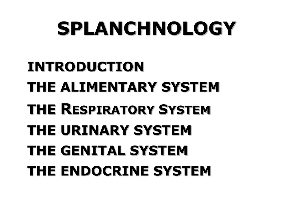 splanchnology