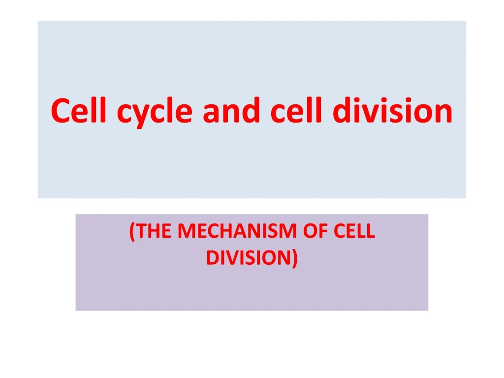 cell cycle and cell division