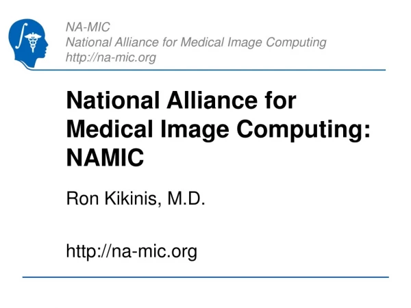 National Alliance for Medical Image Computing: NAMIC