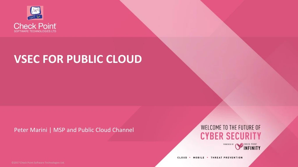 peter marini msp and public cloud channel
