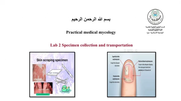 بسم الله الرحمن الرحيم Practical medical mycology Lab 2 Specimen collection and transportation