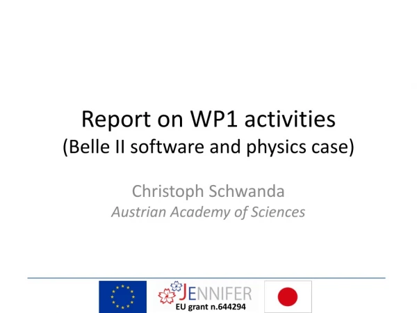 Report on WP1 activities (Belle II software and physics case)
