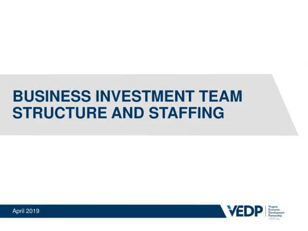 Business investment Team structure and staffing