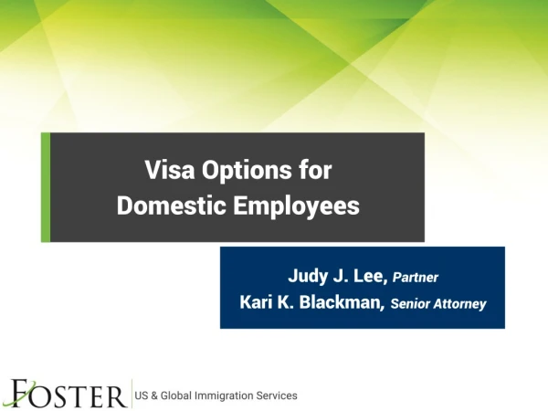 Visa Options for Domestic Employees