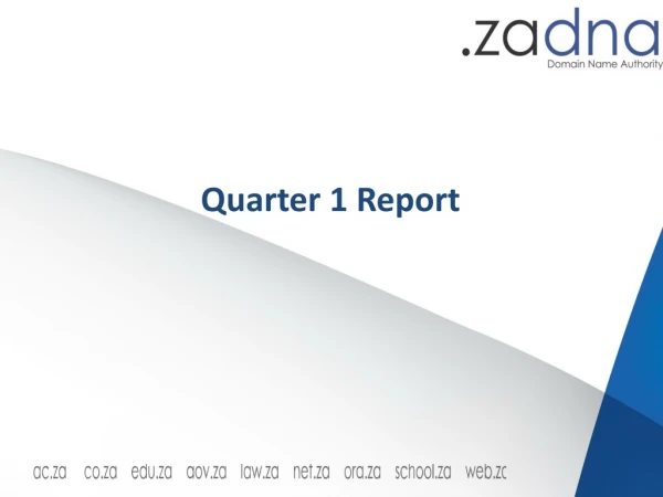 Quarter 1 Report