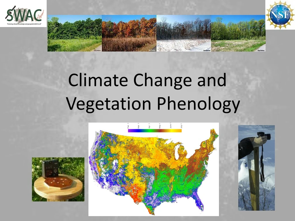 climate change and vegetation phenology