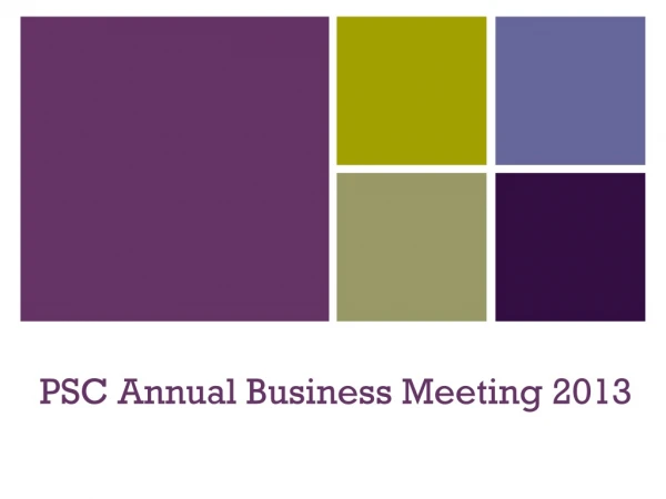 PSC Annual Business Meeting 2013