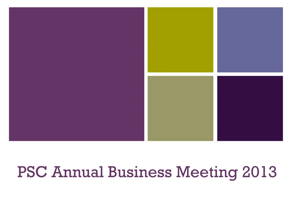 psc annual business meeting 2013