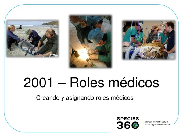 2001 – Roles m édicos