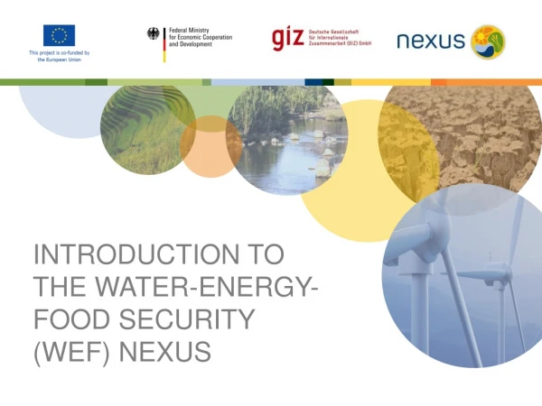 INTRODUCTION TO THE Water-Energy-Food Security (WEF) NEXUS