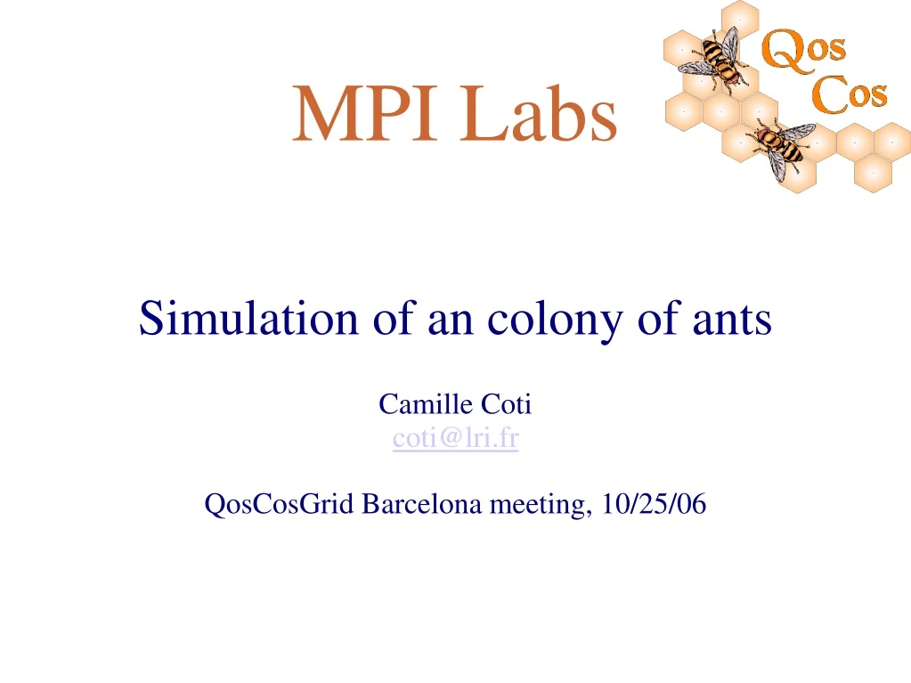 simulation of an colony of ants camille coti coti@lri fr qoscosgrid barcelona meeting 10 25 06