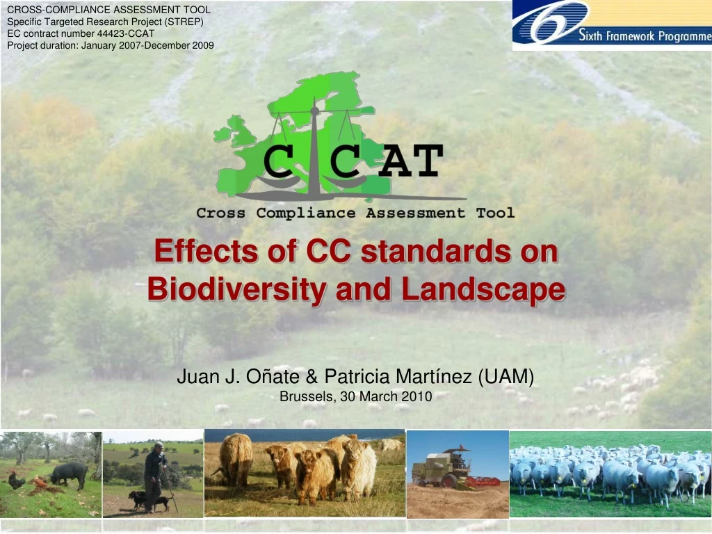 effects of cc standards on biodiversity