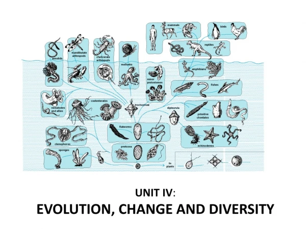 UNIT IV : EVOLUTION, CHANGE AND DIVERSITY