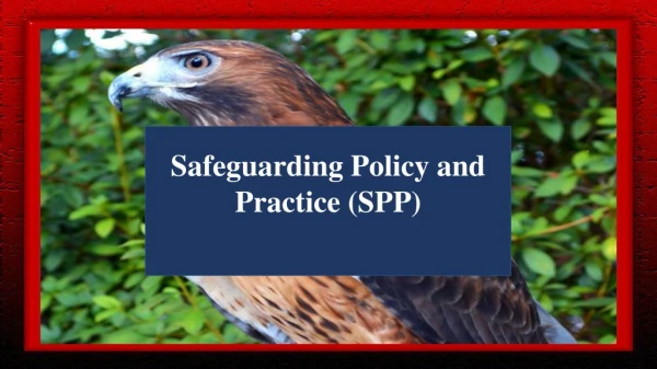 CI Safeguarding Policy and Practice