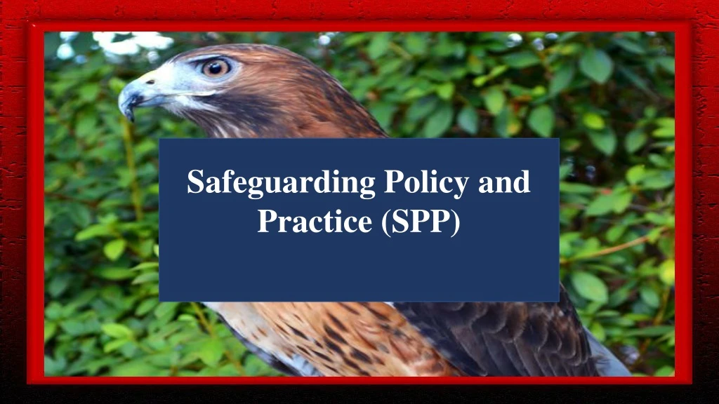 safeguarding policy and practice spp
