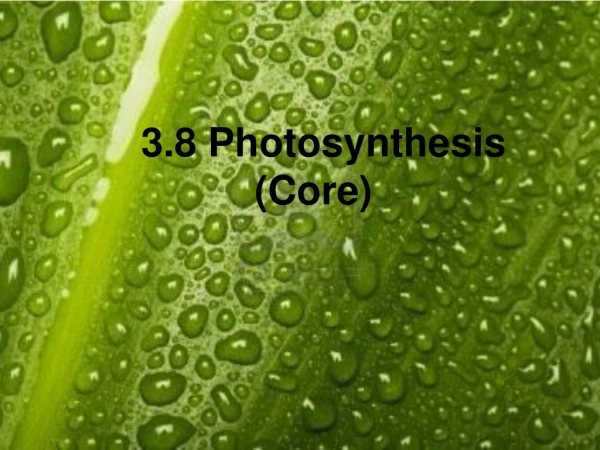 3.8 Photosynthesis (Core)