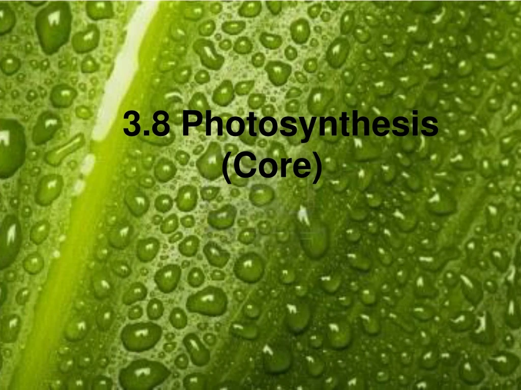 3 8 photosynthesis core