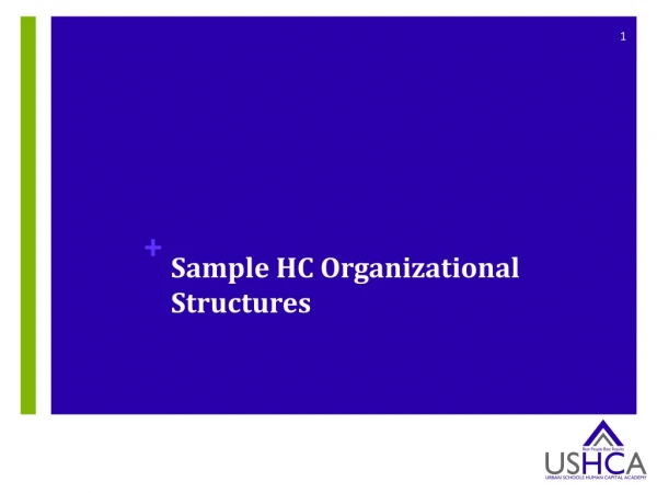 Sample HC Organizational Structures