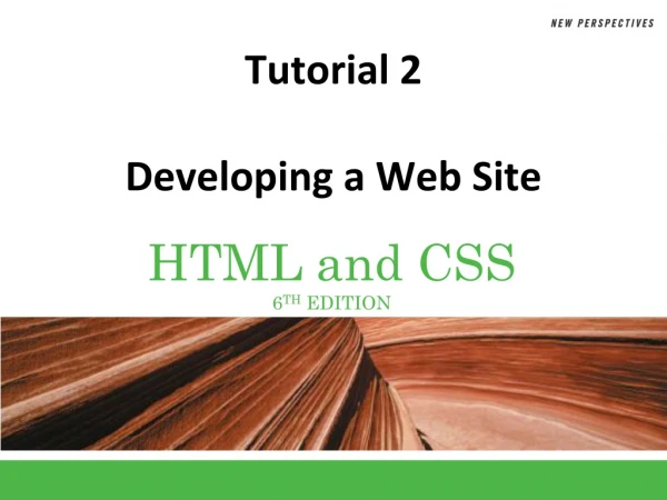 Tutorial 2 Developing a Web Site