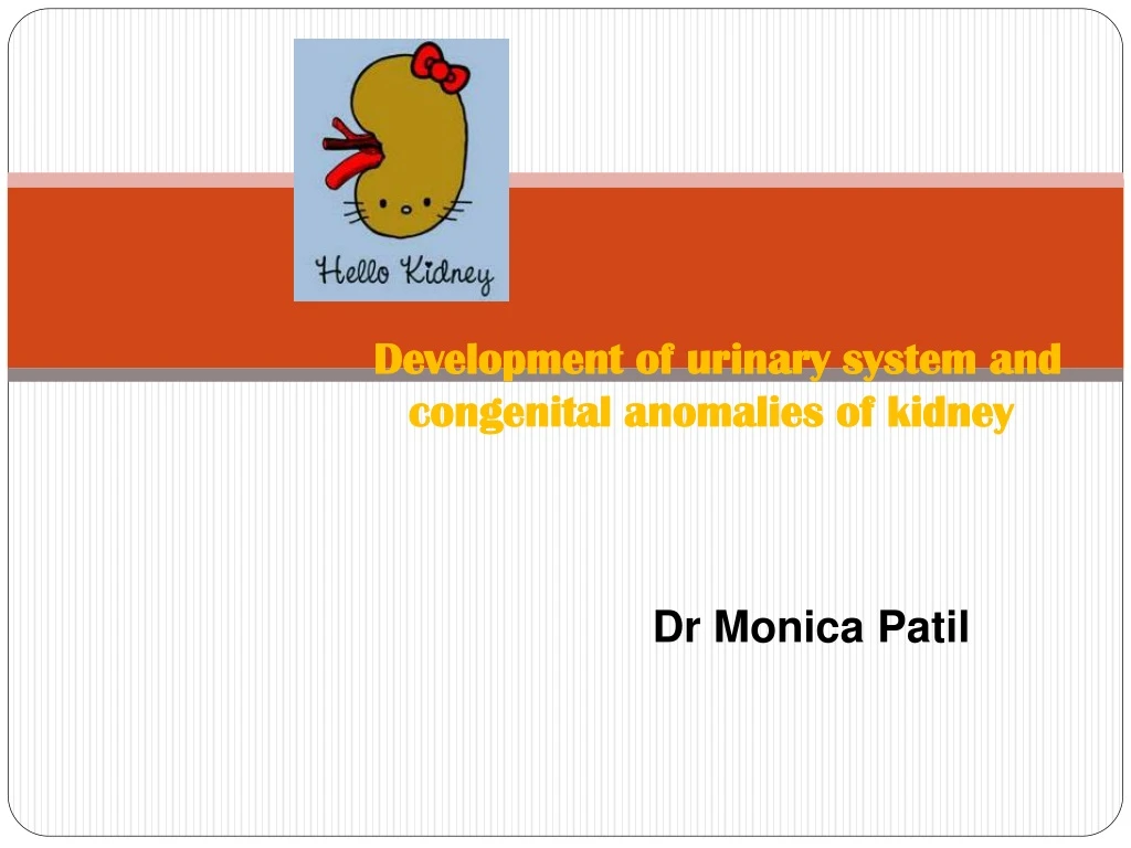 development of urinary system and congenital anomalies of kidney