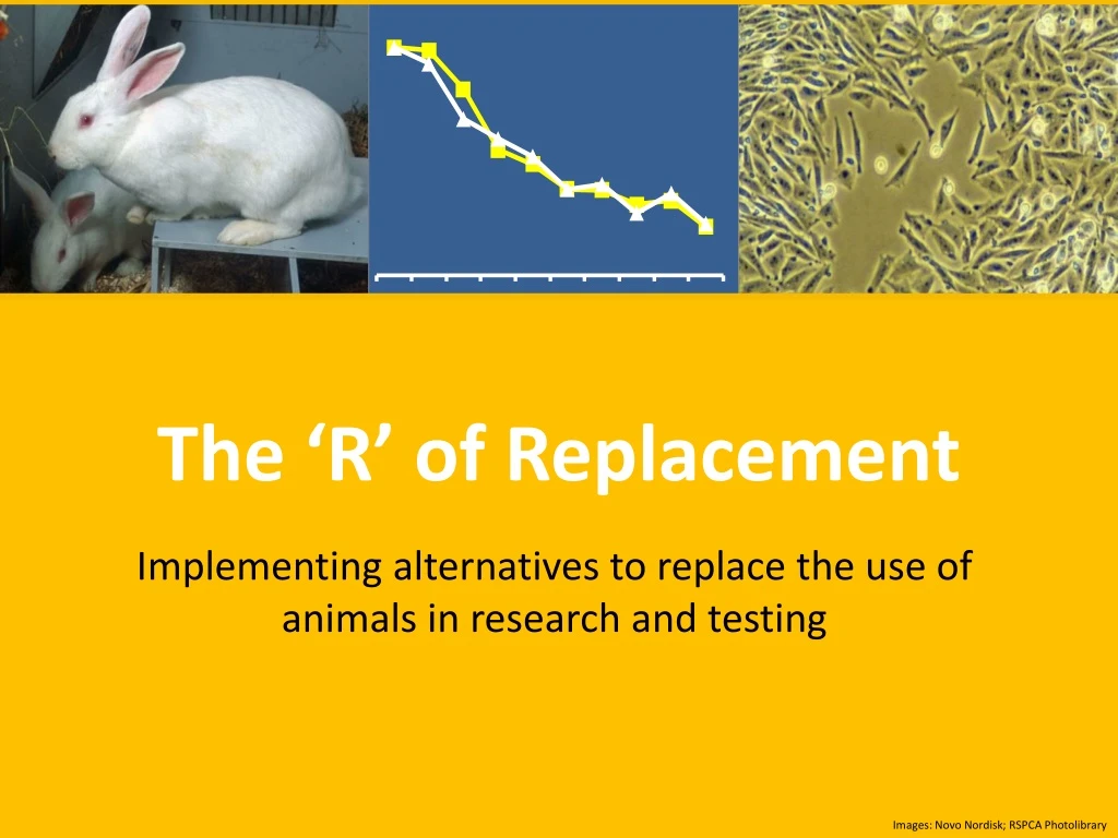 the r of replacement